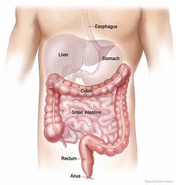 colorectal-cancer-small