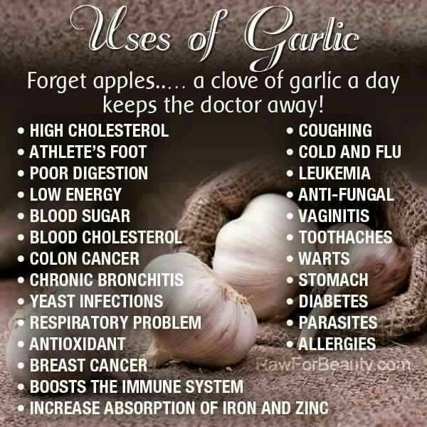 garlic